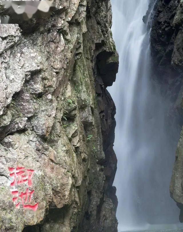 网友分析《要久久爱》不行的理由，杨紫和范丞丞应该来背锅吗？